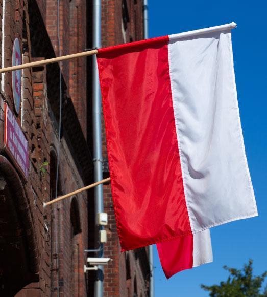 ما هى اهم التخصصات للدراسة فى جامعات بولندا ؟