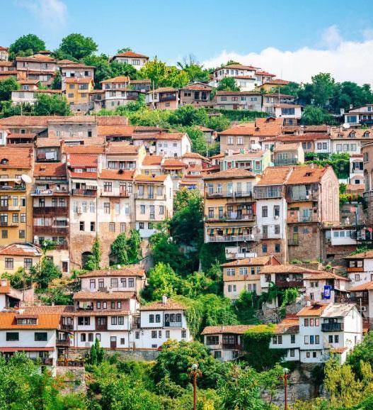 الدراسة في بلغاريا